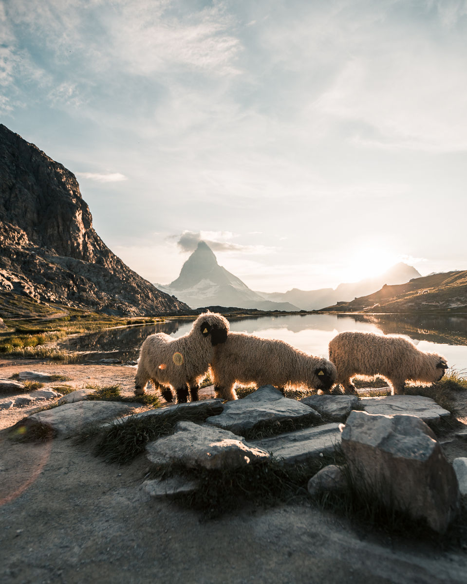 Zermatt