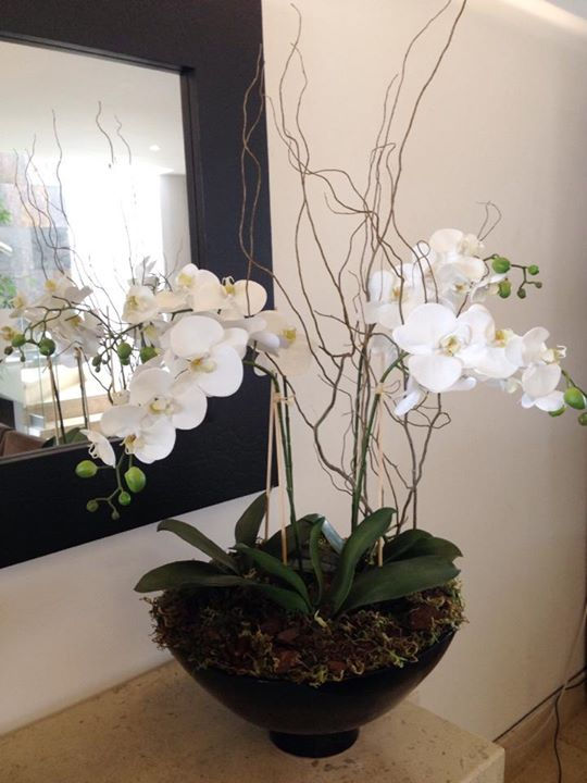 Base negra con 4 varas orquidea.