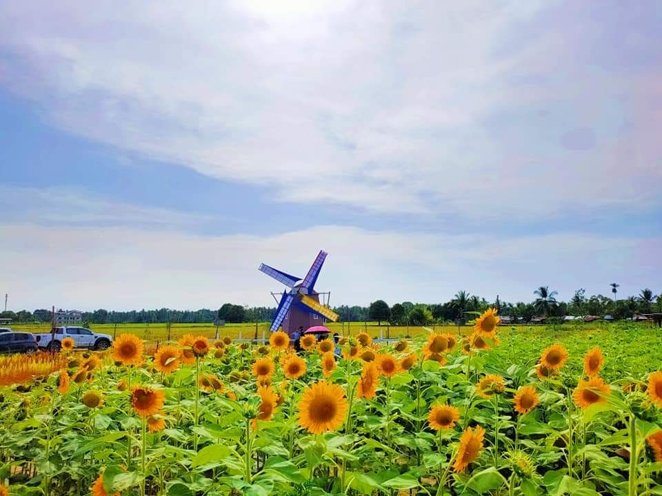 The Little Amsterdam of Leyte