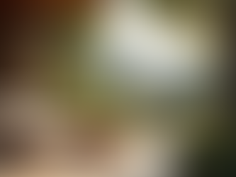 Top 10 Vacation Home Renovations That Boost Comfort and Value