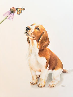 20190925_164624 (2).jpg