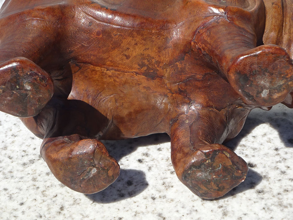 Miniature : Rhinocéros en cuir vue de dessous, raccords des différentes couches de cuir