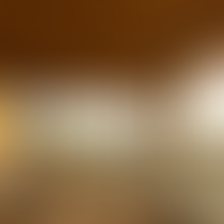 The most luxurious restaurants In The World