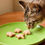 Thumbnail: Catnip Crackers
