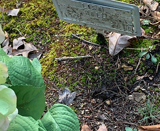 Preacher's stand _ Cemetery.jpg