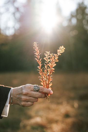Wechseljahr-Coaching Eschenbach Susanne Roth-Pfyl