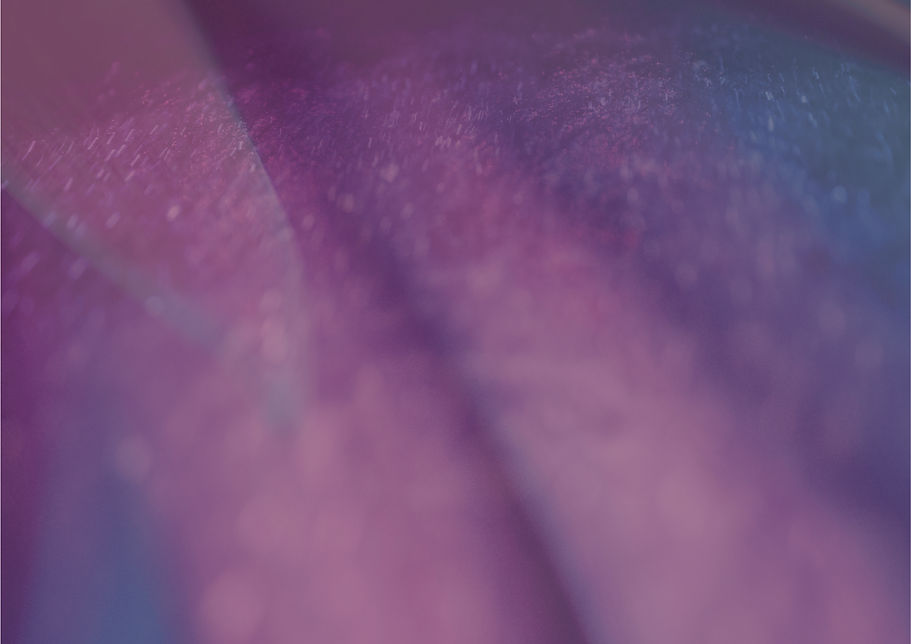 Goldenshadow-bluete-violett-cmyk-print_edited.jpg