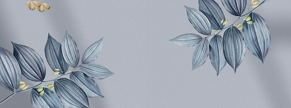 Website-Banner_Leblanc_BG4.png