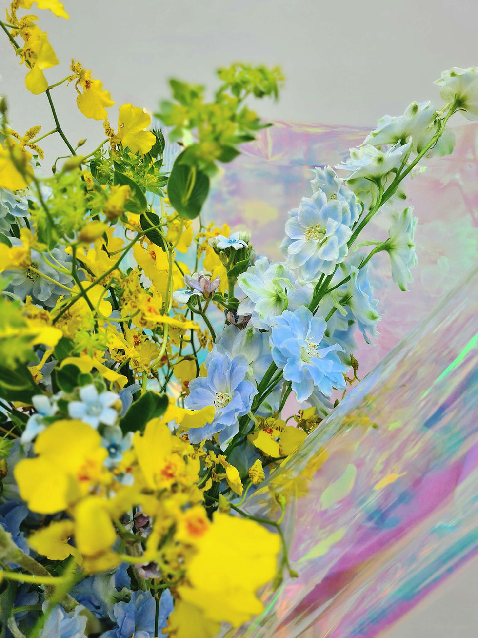 Thumbnail: Fresh Spring