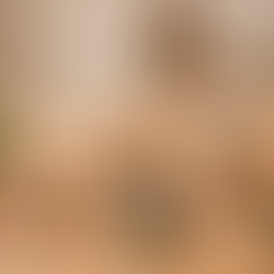 Hongos adaptógenos, superalimentos, café y alimentos funcionales distribuidos sobre una mesa de madera.