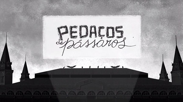 pedaços de pássaros.jpeg