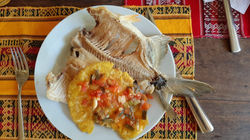 WhatsApp Image 2020-02-27 at 4.18.20 PM.