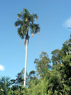 35526785_1102333339907489_42894983165735