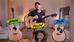 Furch Blue, Green & Yellow Compared – Which Would I Choose? Prt 4
