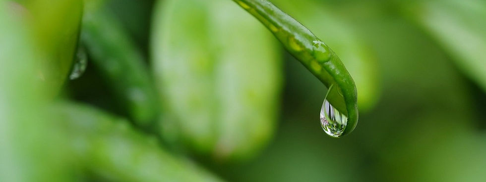 raindrop-8436359_1280_edited.jpg