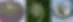 roue-mémorielle-mnemoria.webp