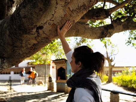 Cecile-leonor en position sensorielle, une main sur le bouddha-trie