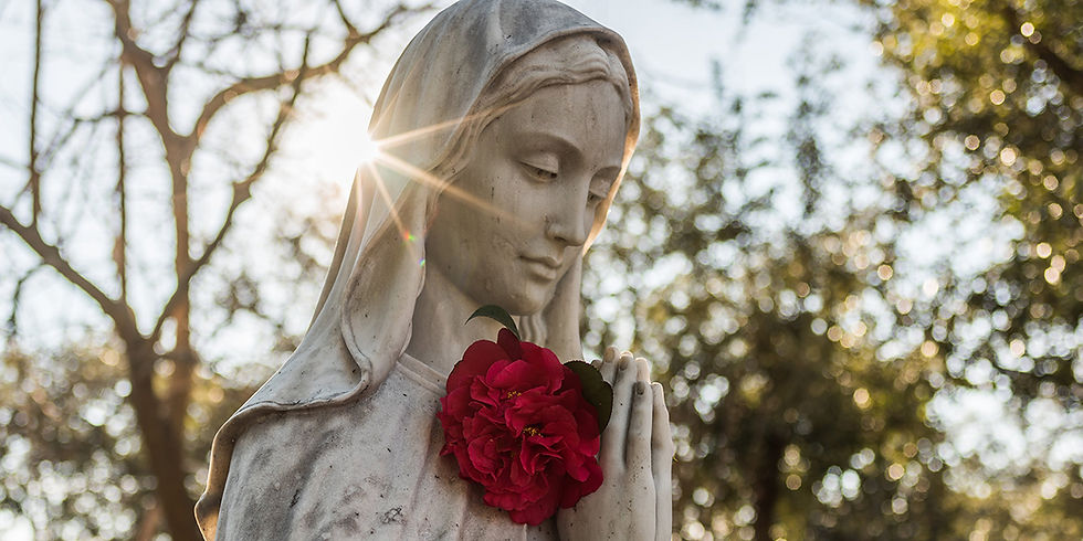 Soin d'apaisement et Activation de la médecine de la Rose, avec Marie aux 7 roses