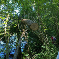 image3 (1).jpeg