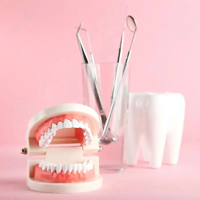 142579036-teeth-models-with-dental-instruments-on-pink-background-transformed_edited.jpg