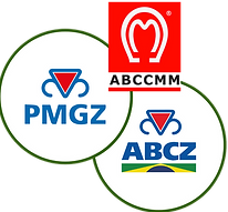 Design sem nome (30).png