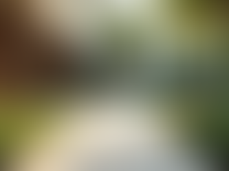 How Reclaim and Rise Transforms Lives for Survivors