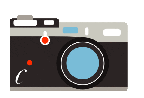 cam.gif