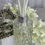 Thumbnail: Luxury Diffusers