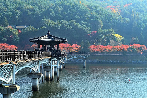 bridge-7697038_1280.jpg