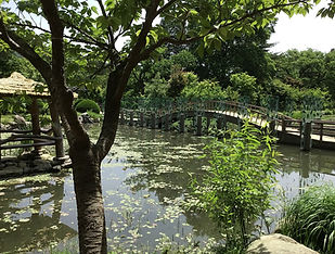 Nami Island Lake in South KOrea