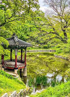 Gardens at Changdeokgung Palace_edited.j