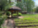 Korean folk village near Suwon 2