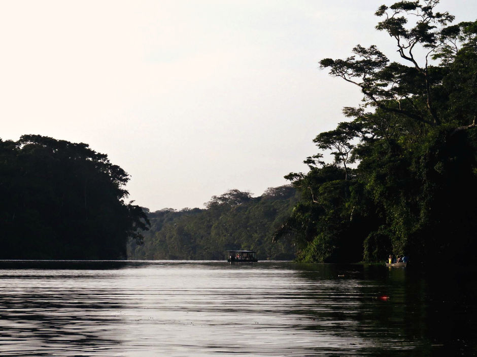 TORTUGUERO - COSTA RICA