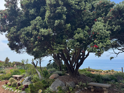 36 Hours in Carlsbad, CA