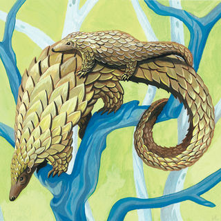 pangolin.jpg