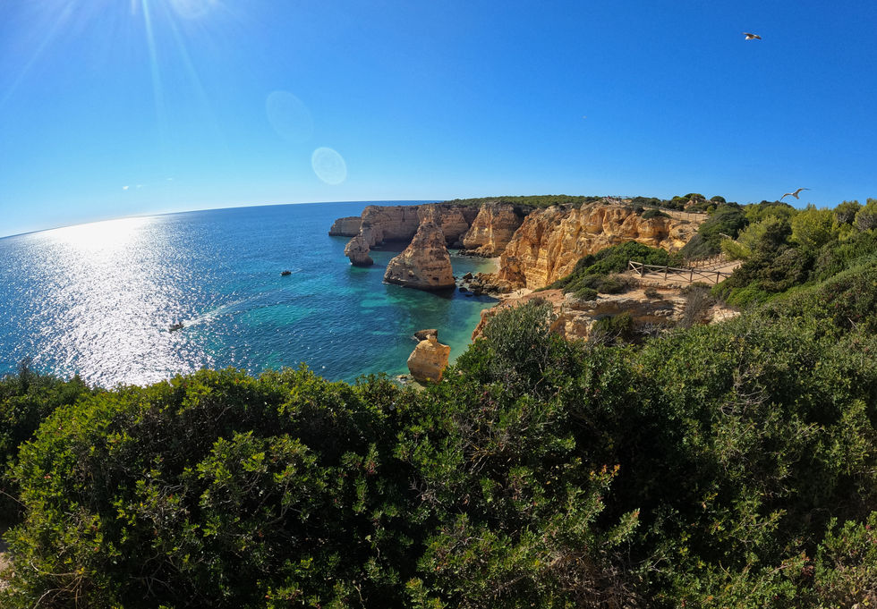 GPTempDownload (3).jpeg