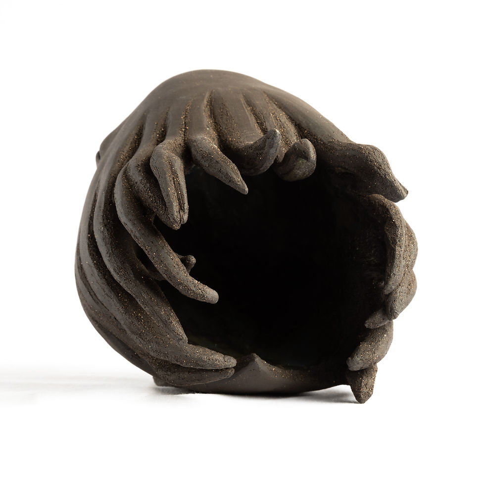 Miniature : Sirius