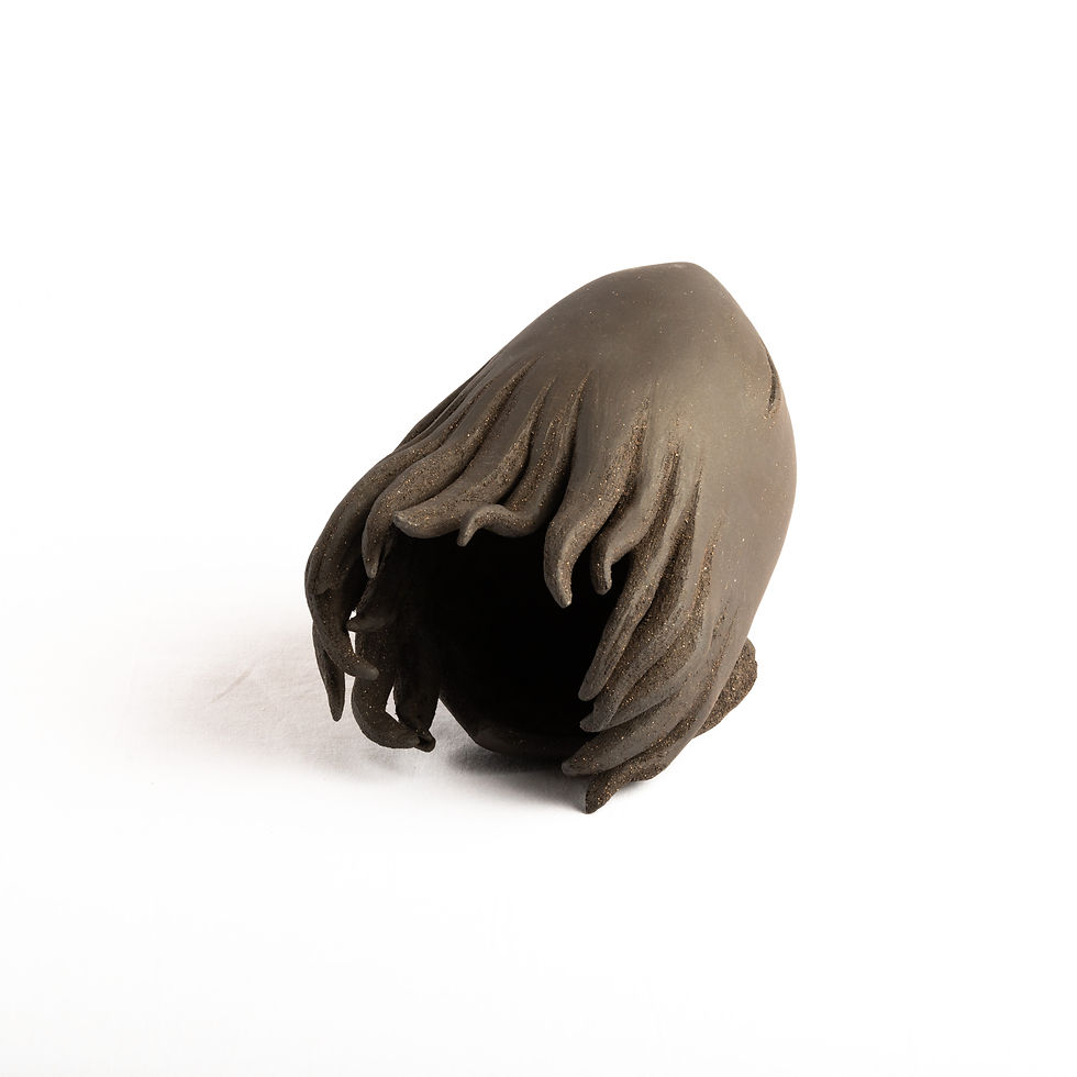 Miniature : Sirius