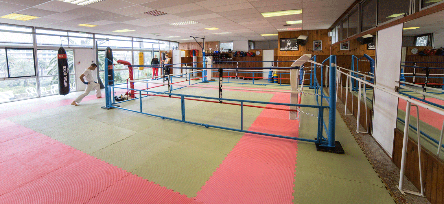 paralax2-boxingkaratementon.gif
