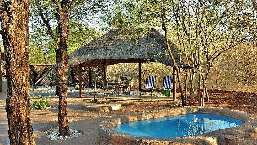 Thumbnail: Jackalberry Ridge, Marloth Park, Mpumalanga 