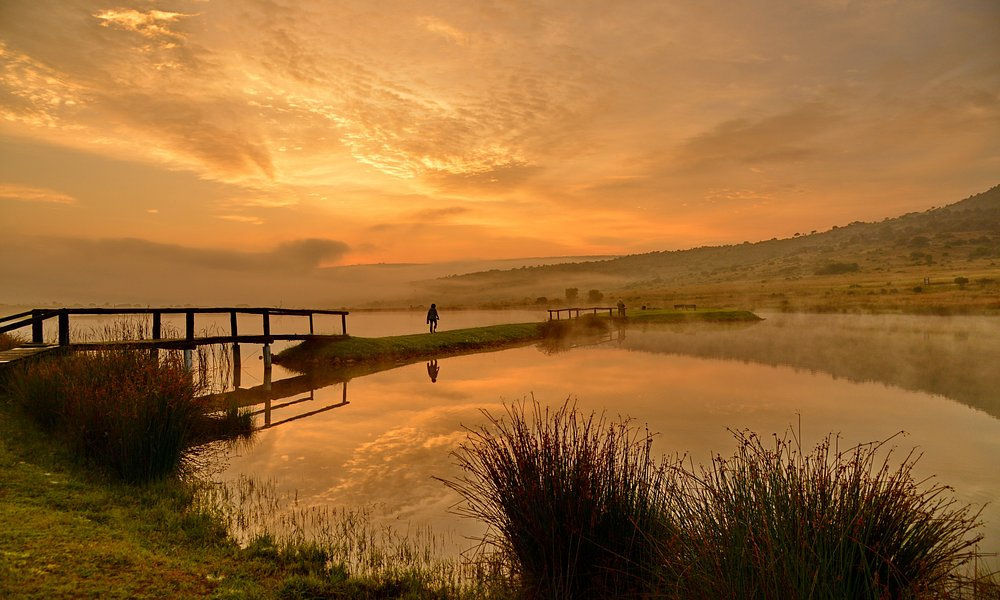 Doornkop Fish and Wildlife, Carolina, Mpumalanga 