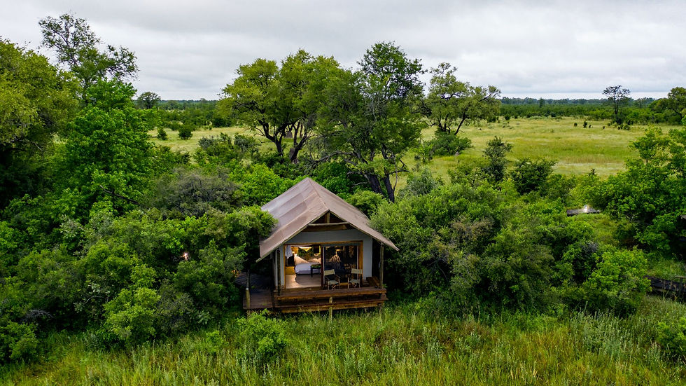 Thumbnail: Little Sable, Khwai, Botswana 