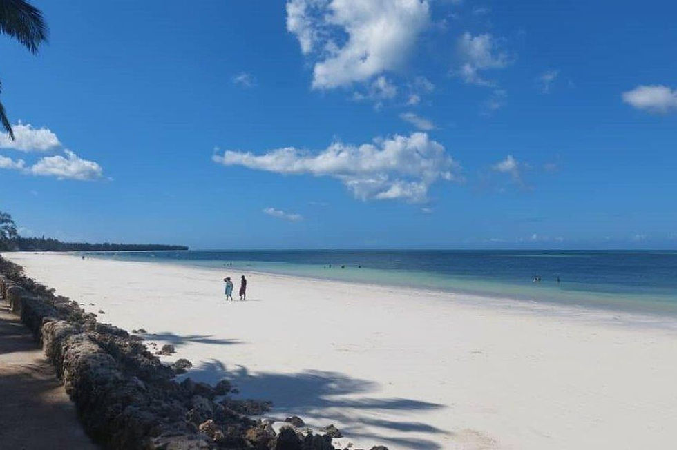 Thumbnail: JAZ Adonia Beach Resort, Uroa, Tanzania