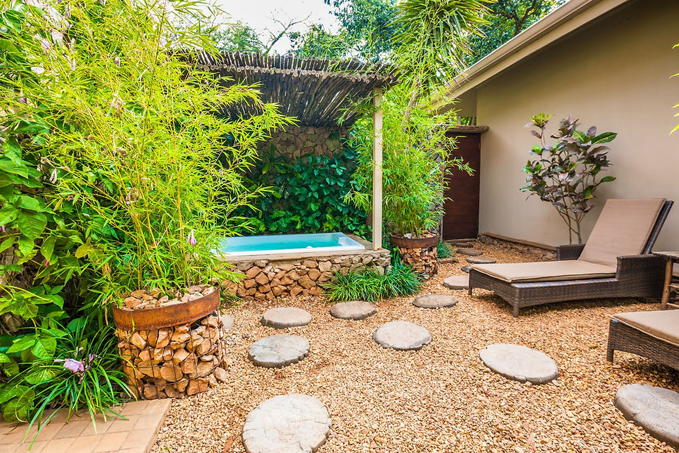 Thumbnail: Sondela Nature Reserve, Bela Bela, Limpopo