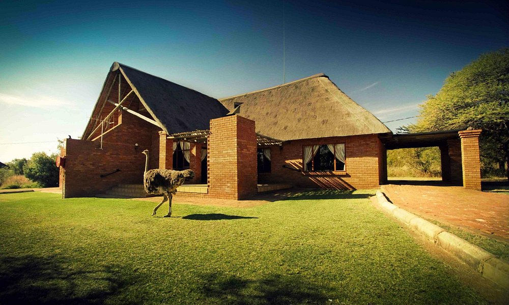 Monateng Safari Lodge, Pretoria, Gauteng