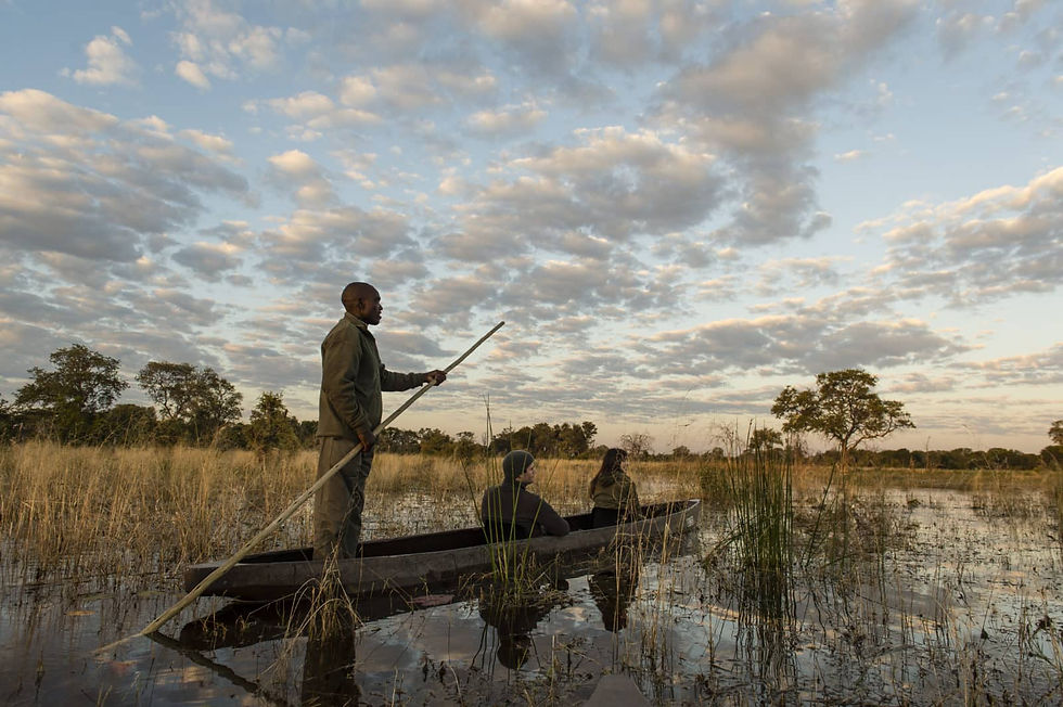 Thumbnail: Little Sable, Khwai, Botswana 