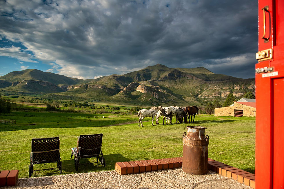 Thumbnail: Fairview Estates, Fouriesburg, Free State 