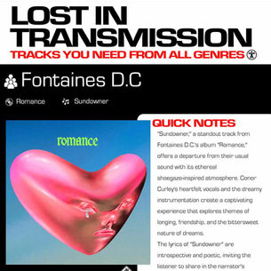 Fontaines D.C. Sundowner Meaning and Review