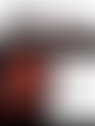 Twenty One Pilots Rawfear Meaning and Review