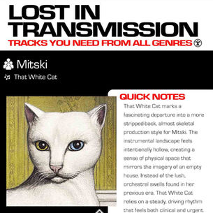 Mitski That White Cat Meaning and Review